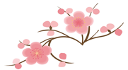 sakura.png